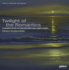 Rabl Walter/Labor Josef - Twilights Of The Romantics