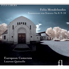 Felix Mendelssohn - Mendelssohn / Symphonies For Str