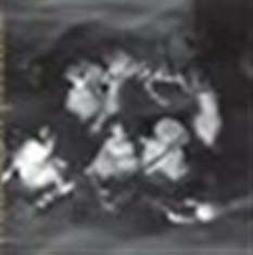 Phantom Orchard Orchestra - Trouble In Paradise