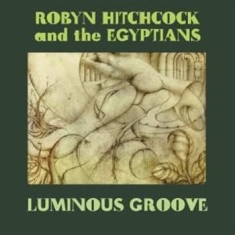 Hitchcock Robyn - Luminous Groove Box Set
