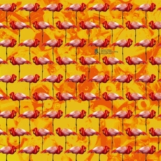 Elephant Chateau - Dreamings & Offshore Drilling