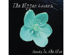 Bigger Lovers The - Honey In The Hive