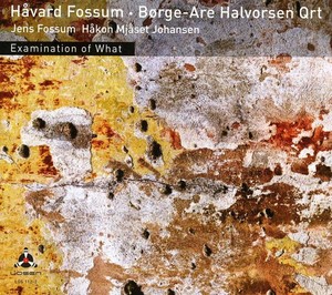 Fossum Håvard/Halvorsen Börge Are Q - Ex