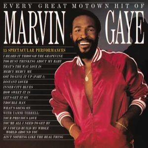 Marvin Gaye - Every Great Motown Hit (Vinyl)