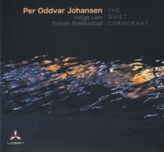 Johansen Per Oddvar - Quiet Cormorant