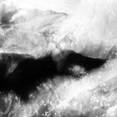 Saffronkeira - A New Life Part I