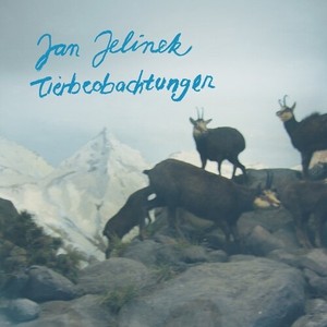 Jan Jelinek - Tierbeobachtungen