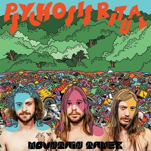 Mountain Tamer - Psychosis Ritual (Orange / Green Vi