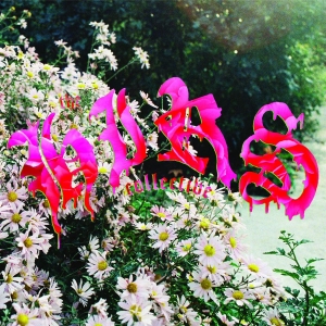 Hirs Collective The - Friends. Lovers. Favorites