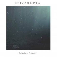 Novarupta - Marine Snow
