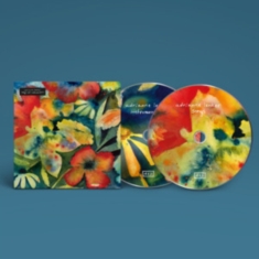 Lenker Adrianne - Songs And Instrumentals (Digipack)