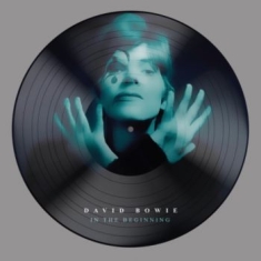 Bowie David - In The Beginning (Picture Disc)