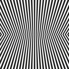 Vacant Lots - Damage Control