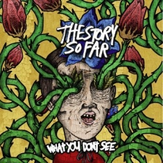 Story So Far - What You Don't See