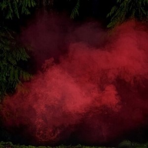Hülsenbeck P.A. / Michael Schönheit - Reaping From The Conflux