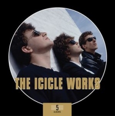 Icicle Works - 5 Albums Box Set i gruppen CD / Rock hos Bengans Skivbutik AB (3915569)