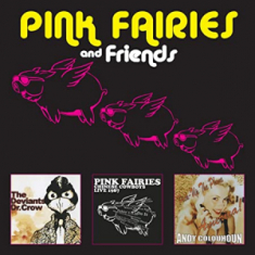 Pink Fairies - Pink Fairies And Friends