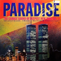 V/A - Paradise Regained: The Garage Sound Of D