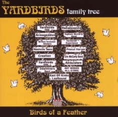 Yardbirds Family Tree - Birds Of A Feather