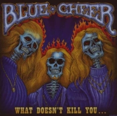 Blue Cheer - What Doesn't Kill You ?