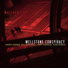 Wellstone Conspiracy - Motives