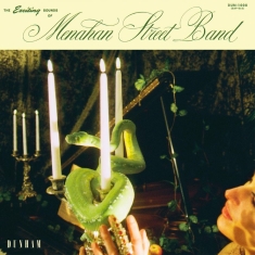 Menahan Street Band - The Exciting Sounds Of Menahan Stre