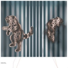 Saniee Kamron - Euphoric Studies