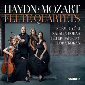 Haydn Joseph Mozart Wolfgang Ama - Flute Quartets
