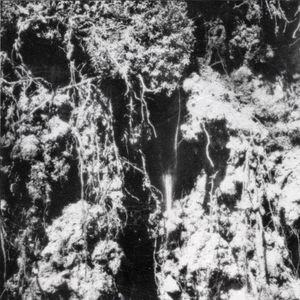 Den Sorte Død - Den Sorte Død
