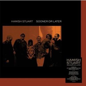 Hamish Stuart - Sooner Or Later (180G Vlear Vinyl)
