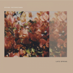 Hatakeyama Chihei - Late Spring