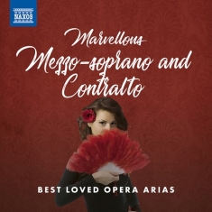 Various - Marvellous Mezzo-Soprano And Contra