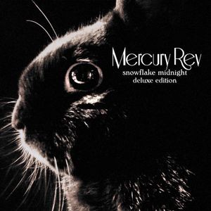 Mercury Rev - Snowflake Midnight
