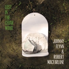 Johnny Flynn - Lost In The Cedar Wood