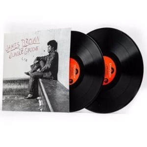 James Brown - In the Jungle Groove