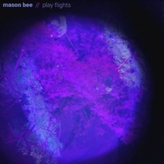 Bee Mason - Play Flights
