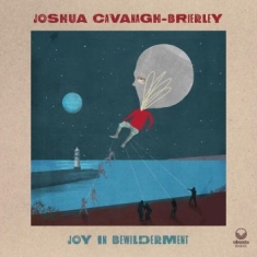 Cavanagh-Brierley Joshua - Joy In Bewilderment