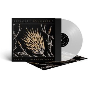Botanist / Thief - Cicatrix / Diamond Brush (Clear Vin