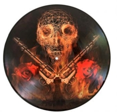 Guns N' Roses - Live In New York 1988 (Picture Disc