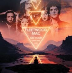 Fleetwood Mac - Go Your Own Way Live