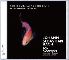 Bach Johann Sebastian - Solo Cantatas For Bass