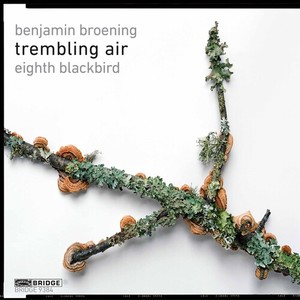 Trembling Air - Eighth Blackbird