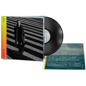 Sting - The Bridge (Vinyl)