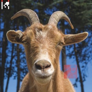 Agoria - .Dev
