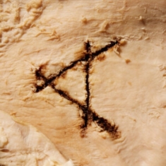 Casselsá - Gut Feeling