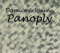 Wayne Hayden & Jason Damico - Panoply Damico & Wayne