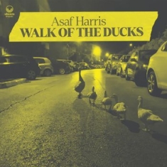 Harris Asaf - Walk Of The Ducks