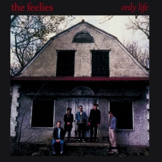 Feelies - Only Life