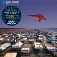 Pink Floyd - A Momentary Lapse Of Reason (2019 Remix) 2LP
