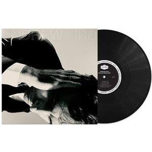 Andrew Bird - Inside Problems (Lp)